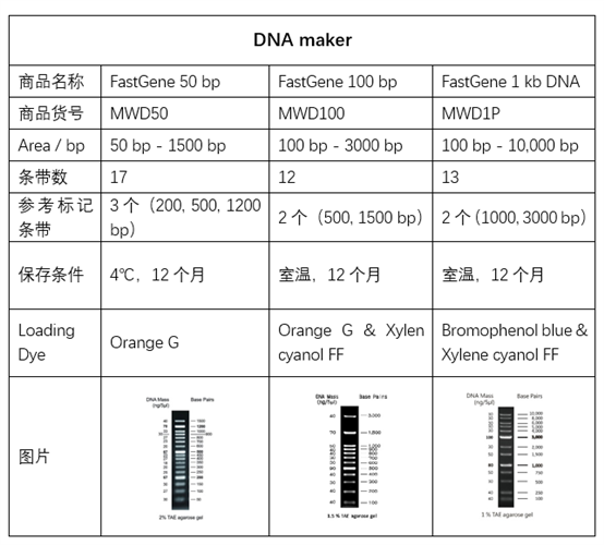 DNA凝膠電泳maker DNA凝膠電泳maker